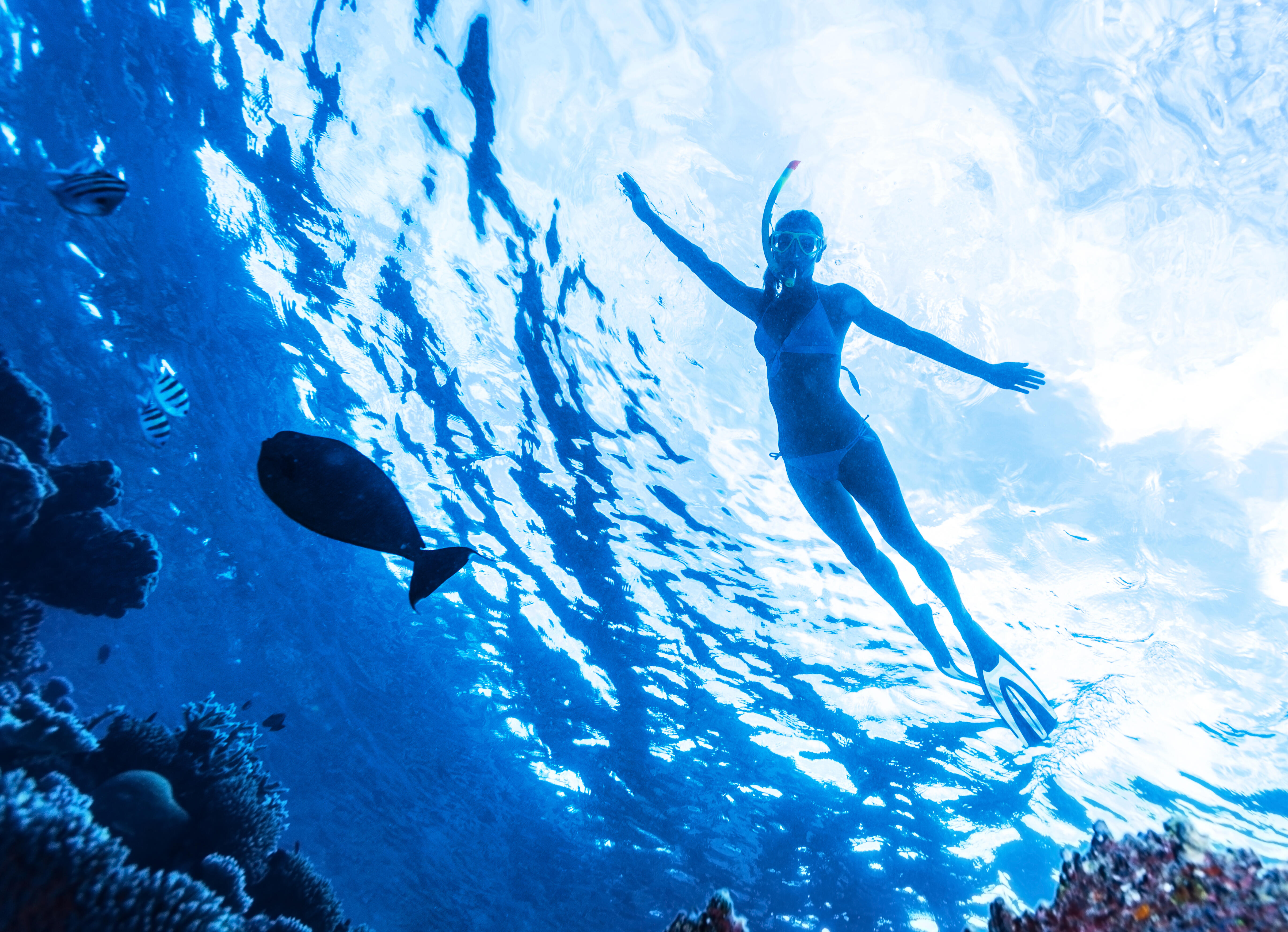 Scuba diving
