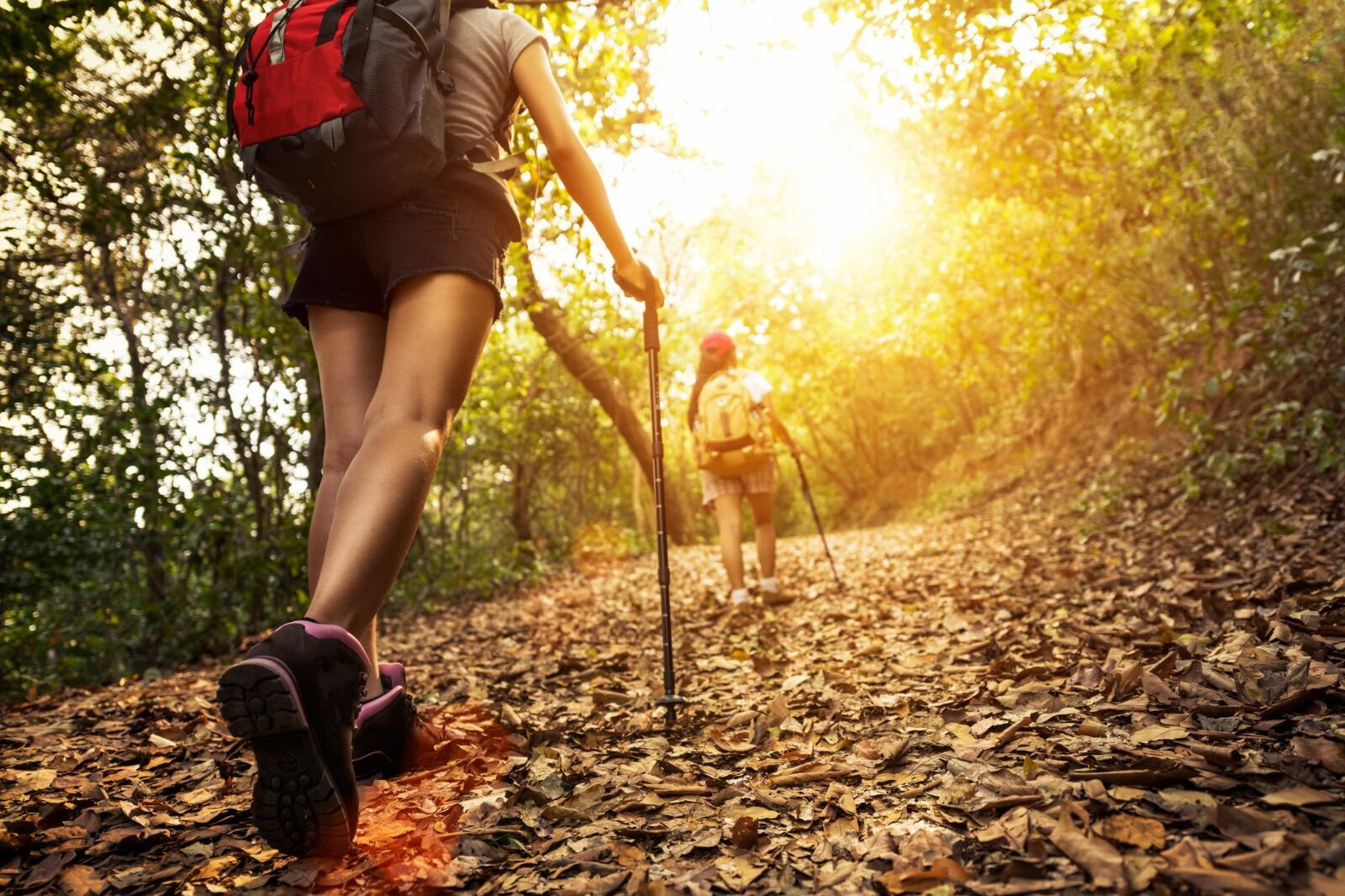 Trekking Package